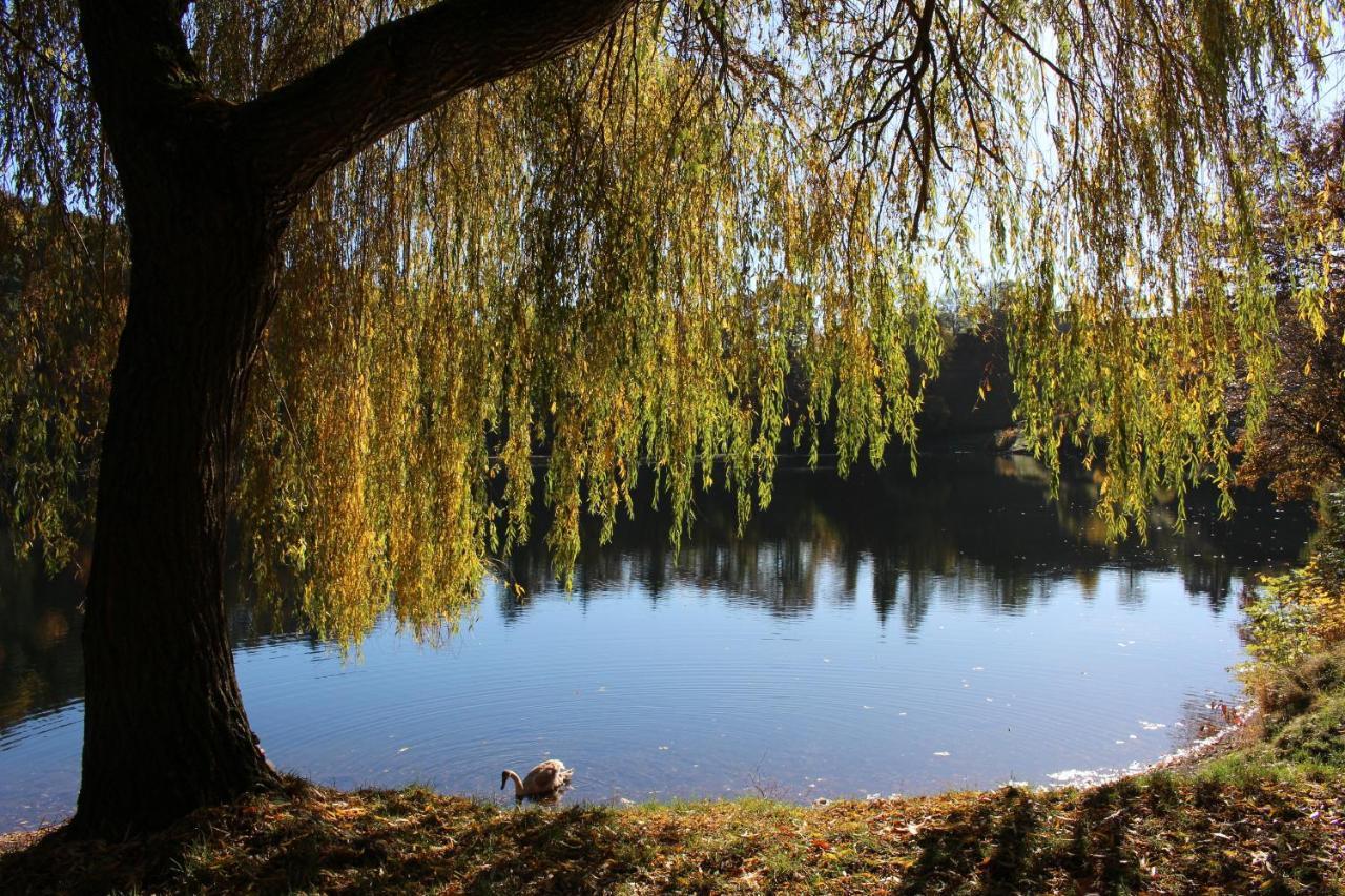 Ferienwohnungen Eifelstuben Mit Charme - Am See, Nahe Burg Ulmen Eksteriør billede
